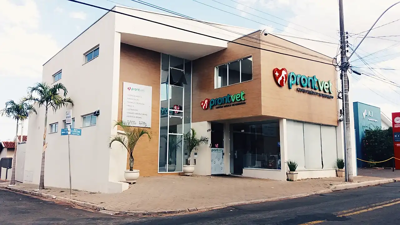 Raio-X Landing Hero Top Image